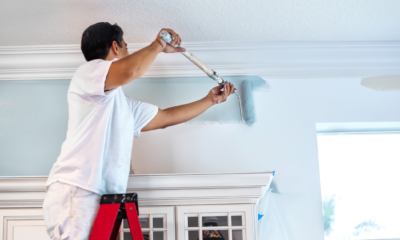Professional Painter