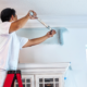 Professional Painter
