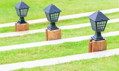 How Artificial Grass Helps Create a Low-Maintenance Family Garden